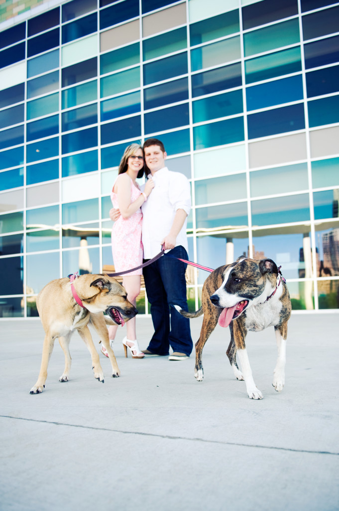 Family and Graduation Portraits