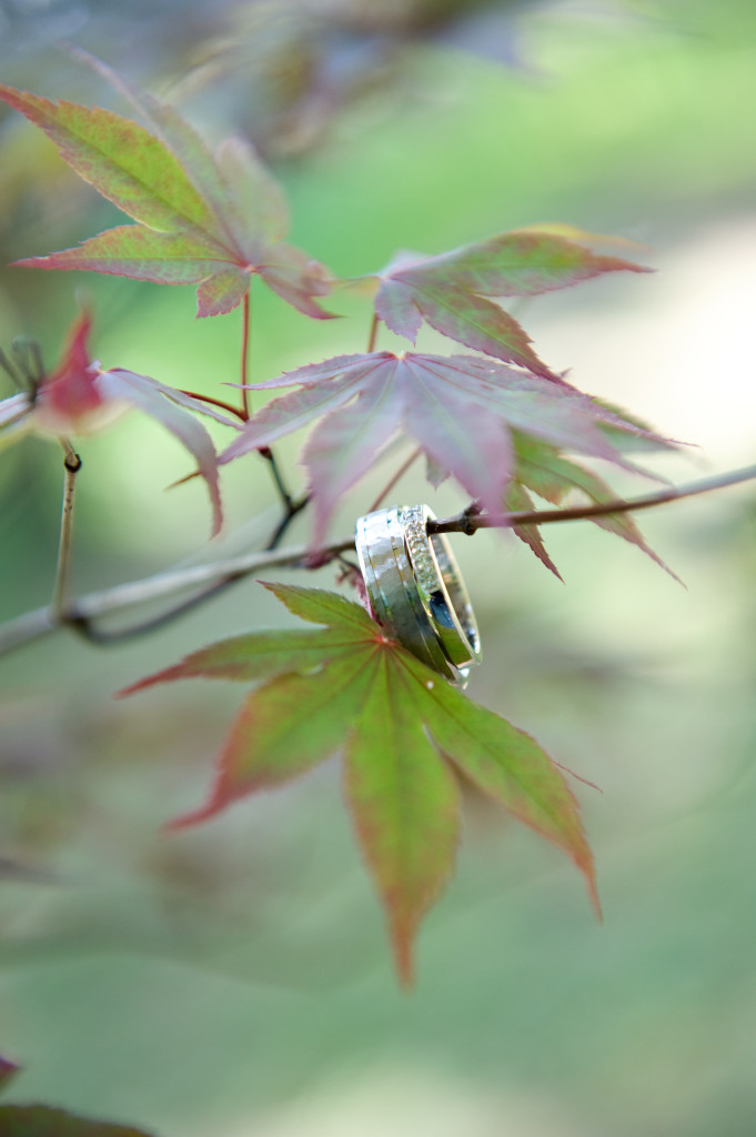 Best Engagement photographers austin