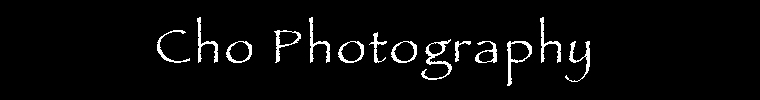 Cho Photography logo